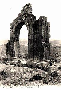 ALGERIE-RUINES ROMAINES DE LAMBESE (43)